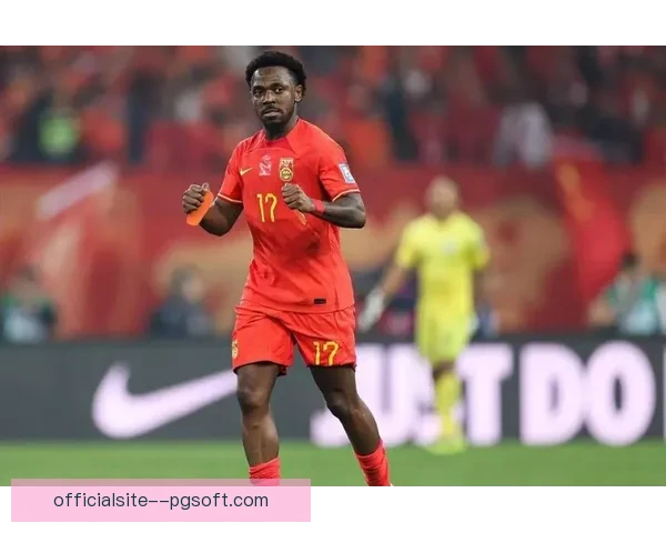 费南多正式加盟上海申花揭开新篇章 未来挑战与期待共存