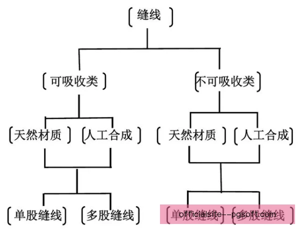 板仓滉三中卫体系角色分析 出球与补位决定后场稳定